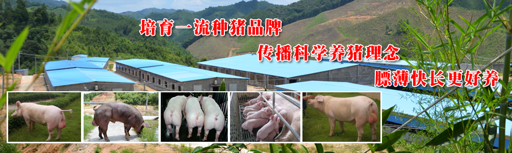 煤樣縮分二分器